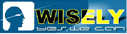 wiselylaser003Ŀg